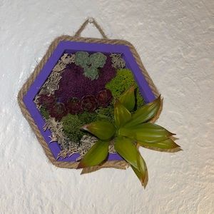 Handmade, succulent wall decor